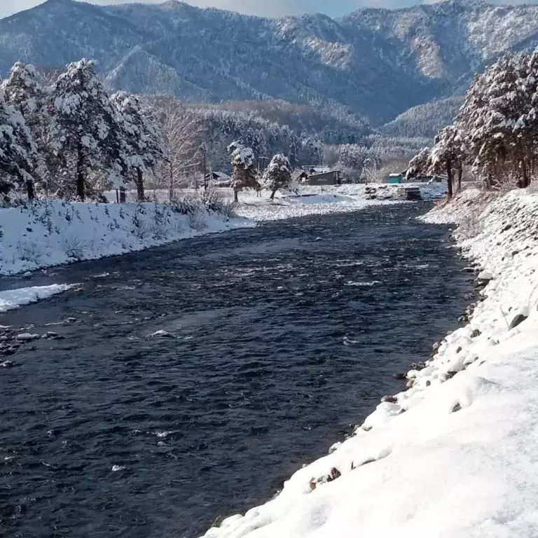 Дом в Алтай, Чемальский район, с. Чемал Курортная ул., 34 (25 м) - Фото 2