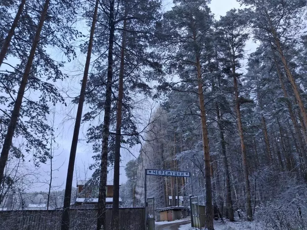 Дом в Свердловская область, Сысертский муниципальный округ, Черемушки ... - Фото 1