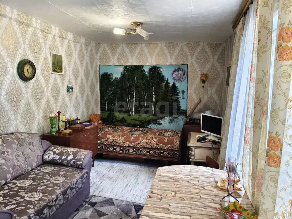 1-к кв. Воронежская область, Борисоглебск ул. Пешкова, 36 (22.9 м) - Фото 1