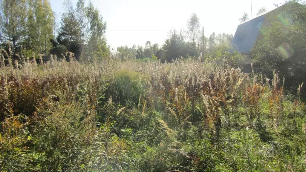 Участок в Московская область, Рузский муниципальный округ, д. Алексино ... - Фото 2