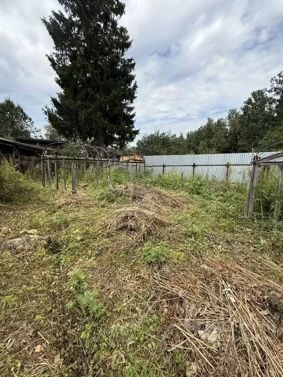 Участок в Московская область, Щелково городской округ, Березка СНТ ул. ... - Фото 2