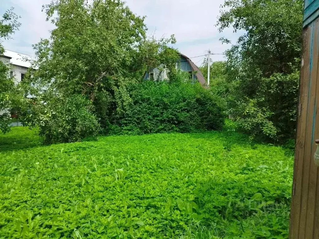 Участок в Москва д. Говорово, Заря СНТ, 6 (4.25 сот.) - Фото 1