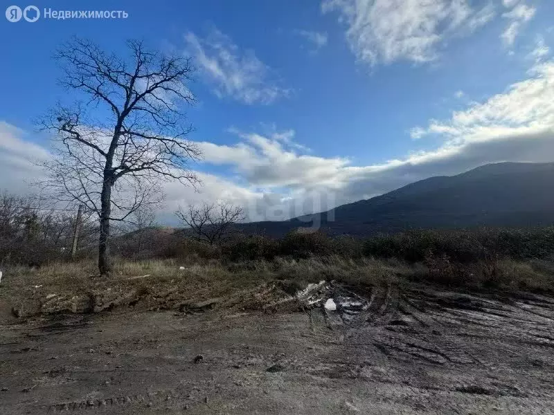 Участок в Республика Крым, муниципальный округ Алушта, посёлок ... - Фото 2