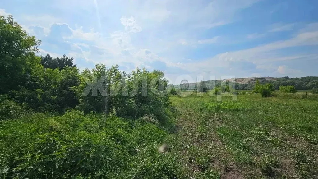 Дом в Новосибирская область, Колыванский район, д. Чаус ул. Титова, ... - Фото 2