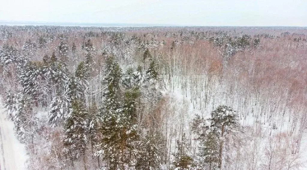 Участок в Тюменская область, Тюмень Светлое садовое товарищество,  ... - Фото 1