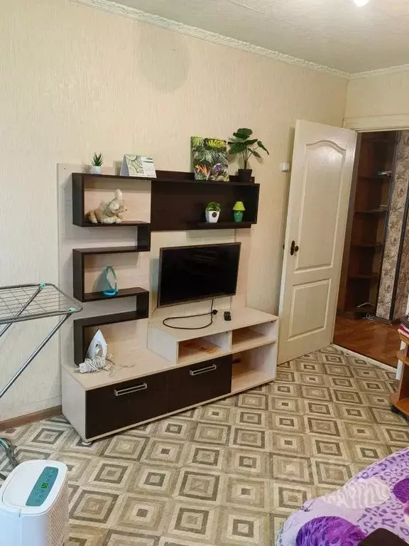 1-к кв. Приморский край, Дунай пгт ул. Ленина, 35А (31.0 м) - Фото 1