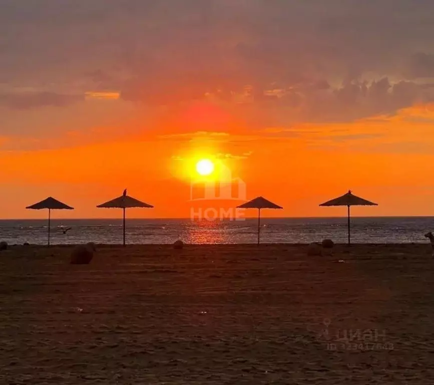 Участок в Дагестан, Карабудахкентский район, Турали 4-е хут.  (2.0 ... - Фото 1