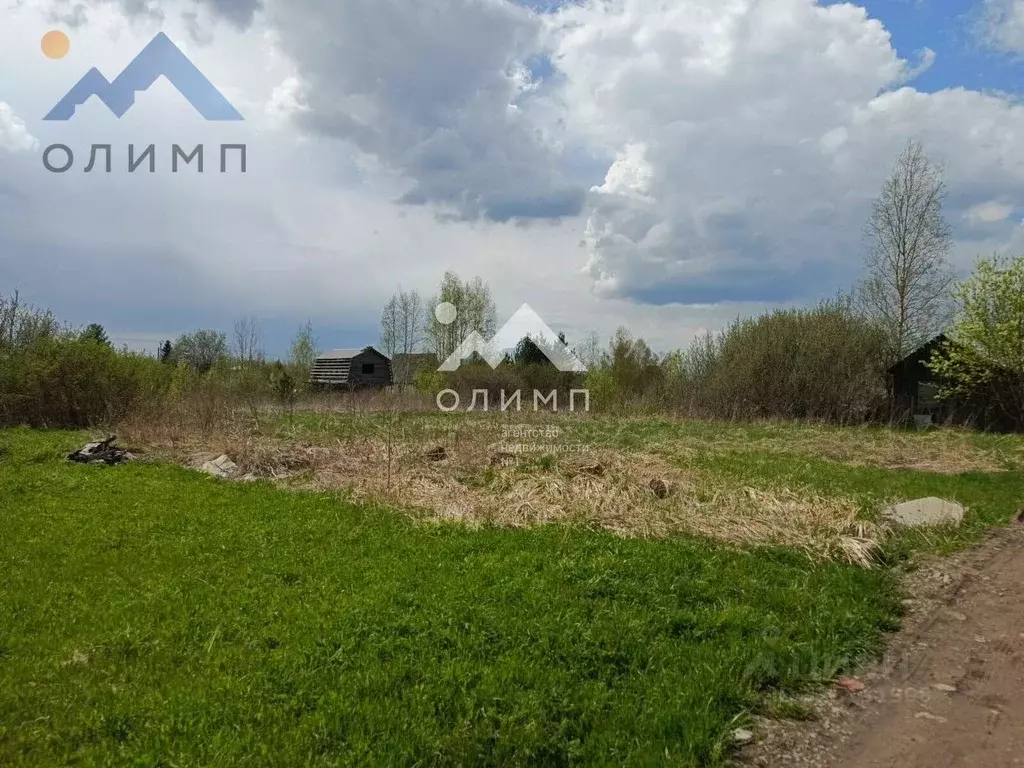 Участок в Вологодская область, Анциферово садоводческое товарищество ... - Фото 2