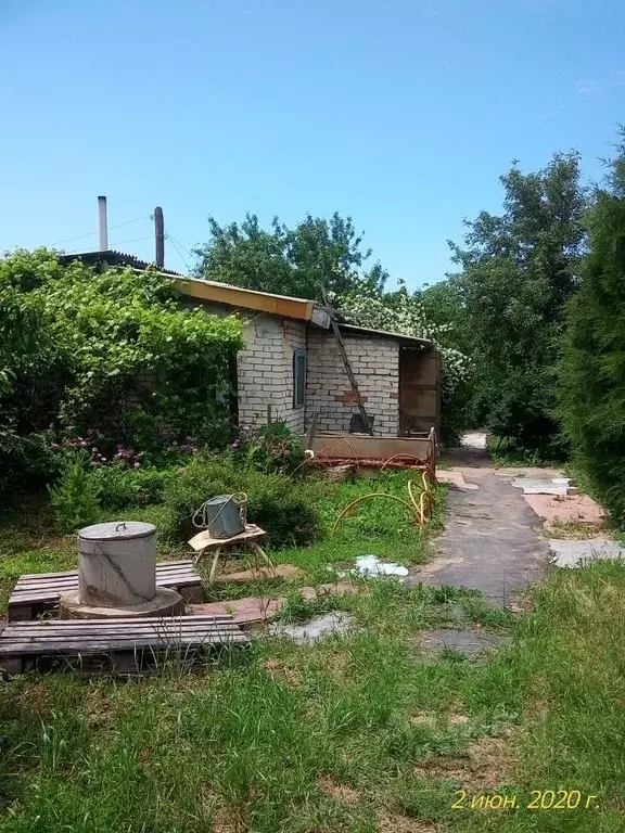 Участок в Волгоградская область, Среднеахтубинский район, Клетское ... - Фото 1