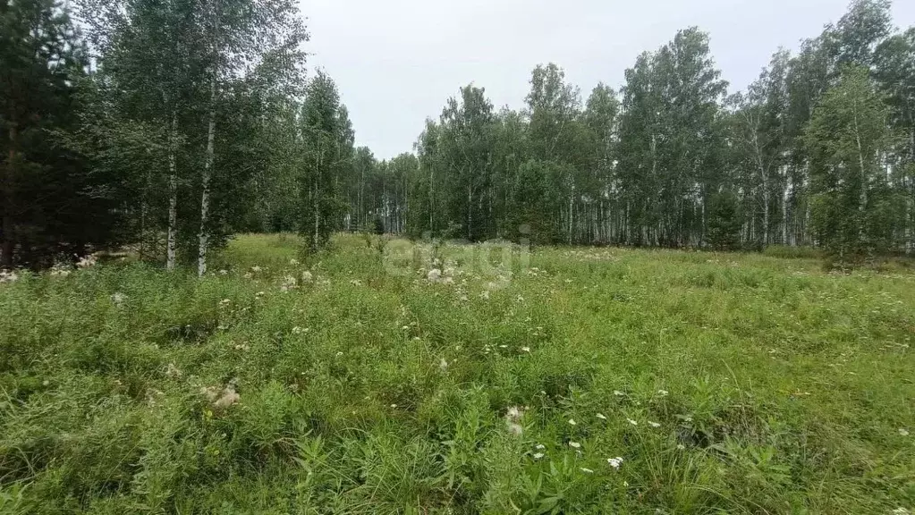 Участок в Свердловская область, Каменский муниципальный округ, с. ... - Фото 2