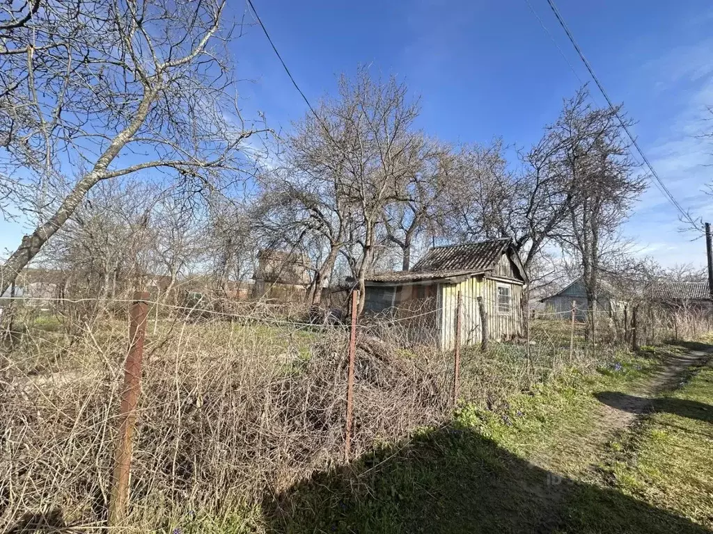 Участок в Брянская область, Брянский район, Супоневское с/пос, Рассвет ... - Фото 1