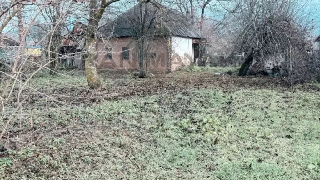 Участок в Адыгея, Майкопский район, Даховское с/пос, с. Хамышки ул. ... - Фото 2