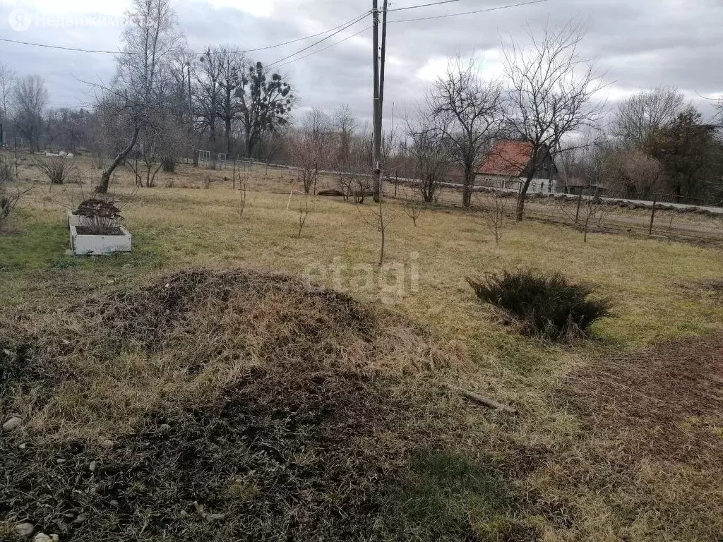 Купить Дачу В Рябиновке Калининградской