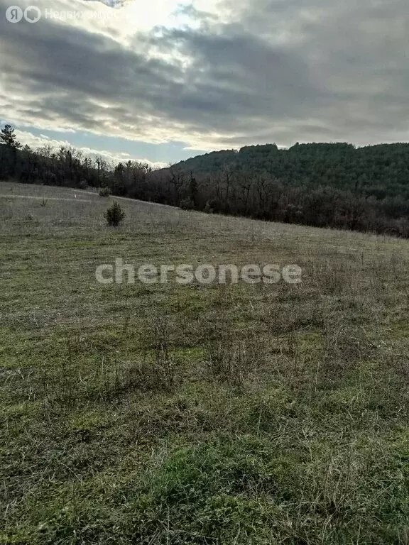 Участок в Терновский муниципальный округ, село Терновка, Зелёная улица ... - Фото 2