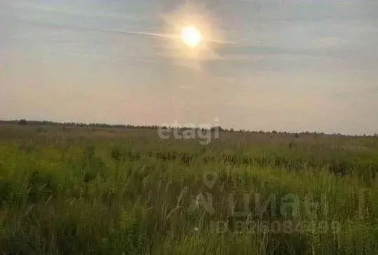 Участок в Липецкая область, Липецк Желтые пески СНТ, уч763 (10.9 сот.) - Фото 2