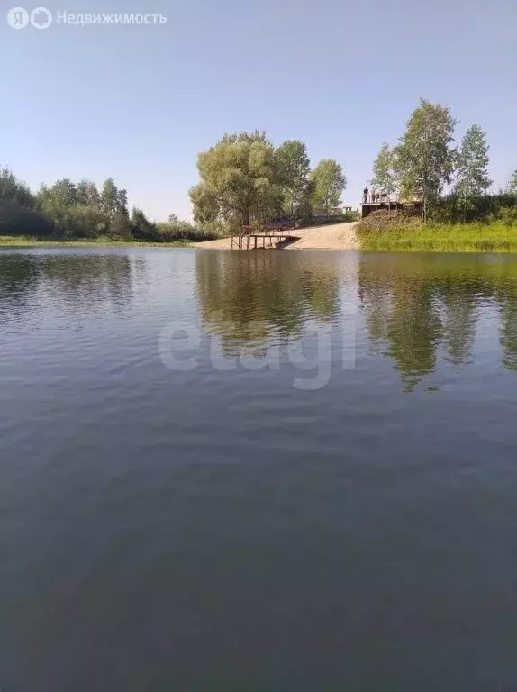 Участок в Колыванский район, ДНТ Сибирская Волость (999 м) - Фото 1