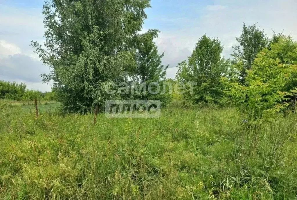 Участок в Липецкая область, Грязинский муниципальный округ, с. Фащевка ... - Фото 1