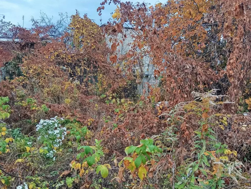 Участок в Самарская область, Самара проезд 2-й Малый, 5 (5.0 сот.) - Фото 2