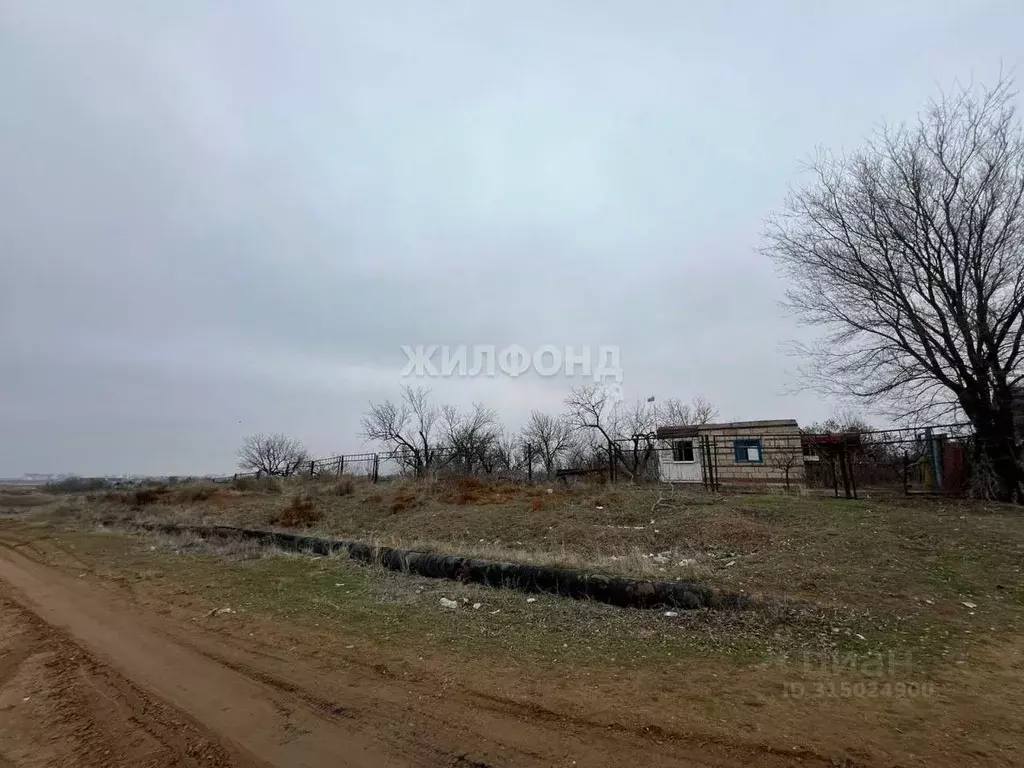 Участок в Астраханская область, Астрахань Машиностроитель СТ, 108 (6.0 ... - Фото 1
