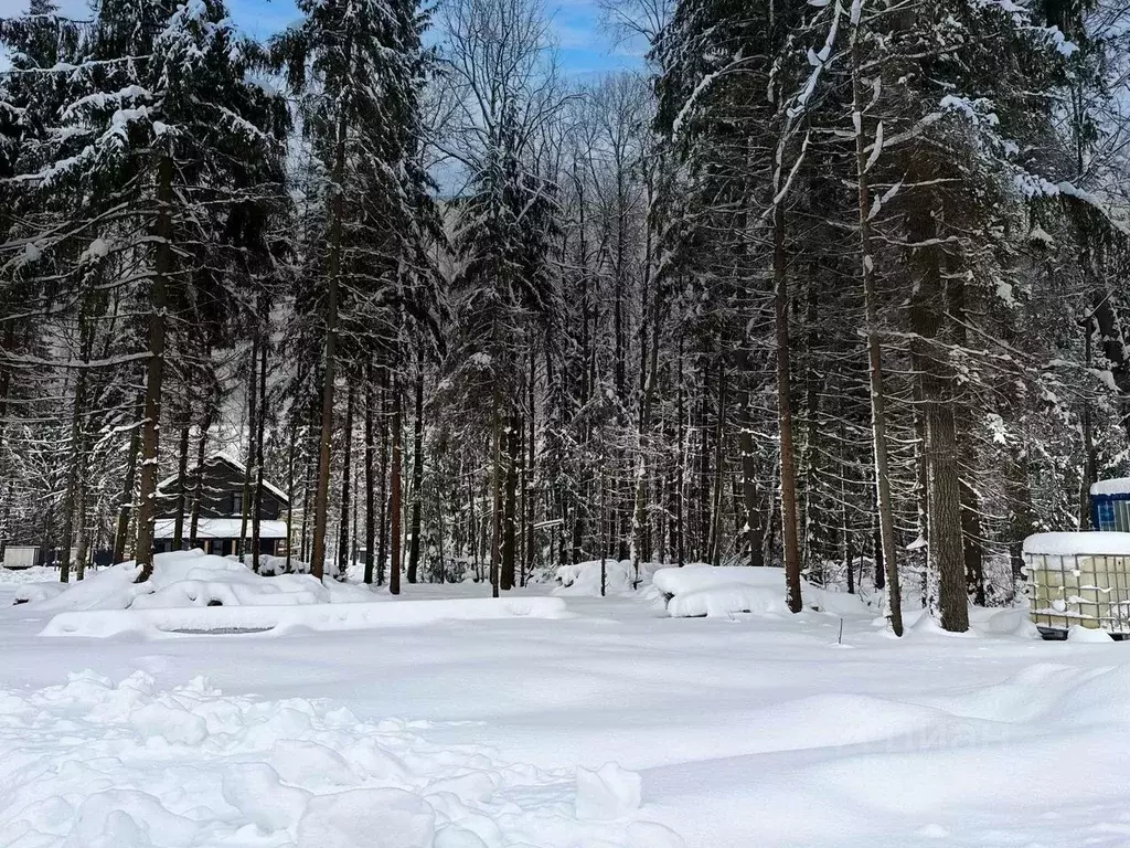 Участок в Московская область, Дмитровский муниципальный округ, ... - Фото 1