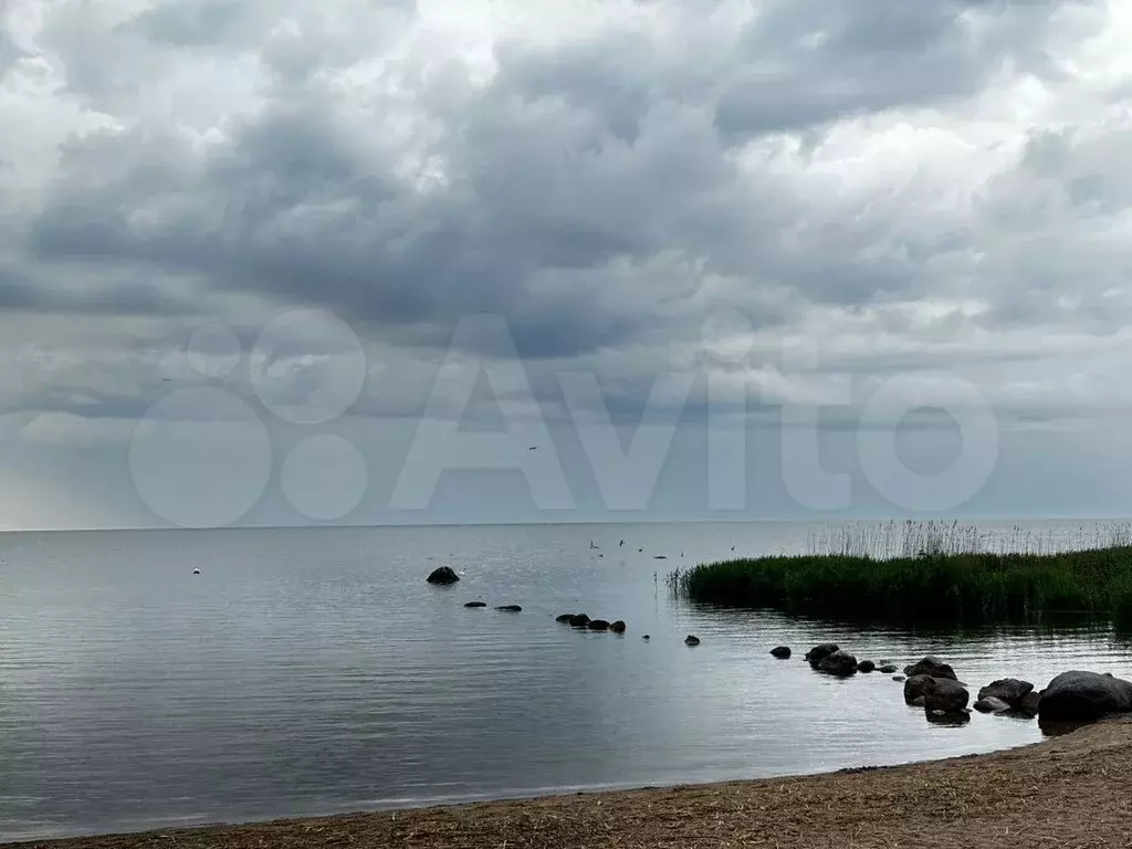Дом 94,3 м на участке 8,5 сот. - Фото 1