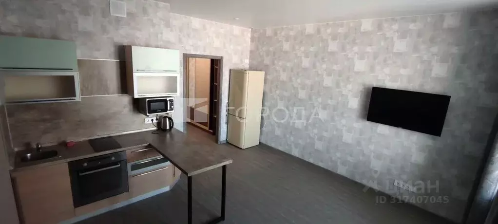 Студия Новосибирская область, Новосибирск пл. Райсовета, 14 (28.4 м) - Фото 1