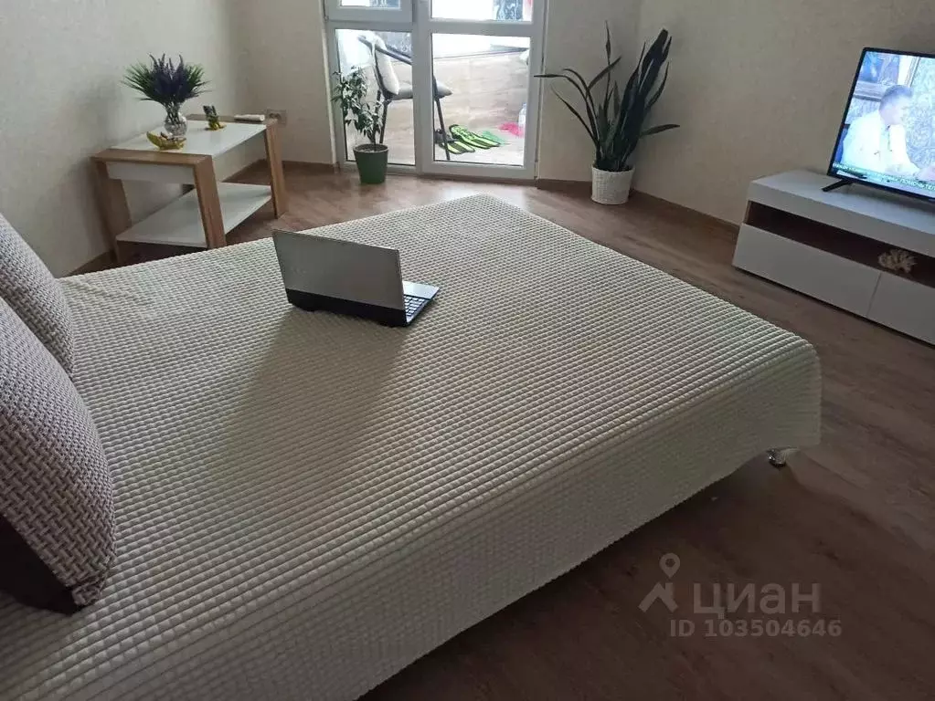 1-к кв. Севастополь ул. Челнокова, 19Ак4 (32.0 м) - Фото 0