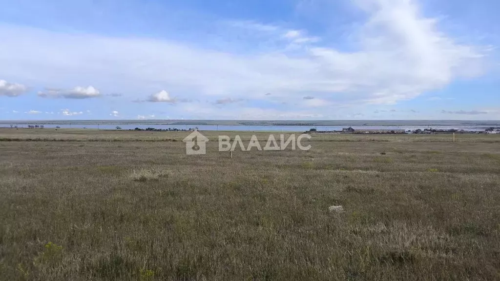 Участок в Крым, Черноморский район, с. Межводное проезд Керченский ... - Фото 1