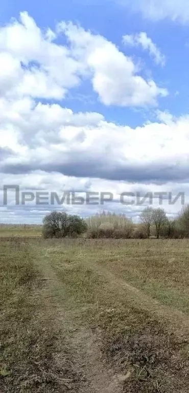 Участок в Калужская область, Бабынинский муниципальный округ, Утешево ... - Фото 1