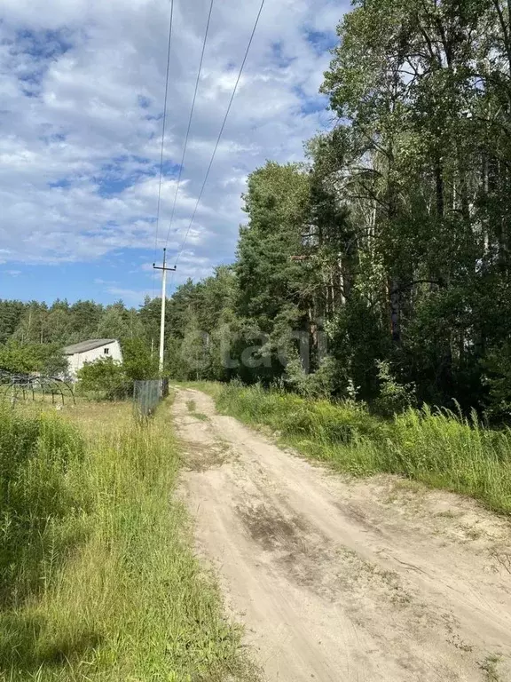 Участок в Брянская область, Брянский район, Нетьинское с/пос, ... - Фото 1