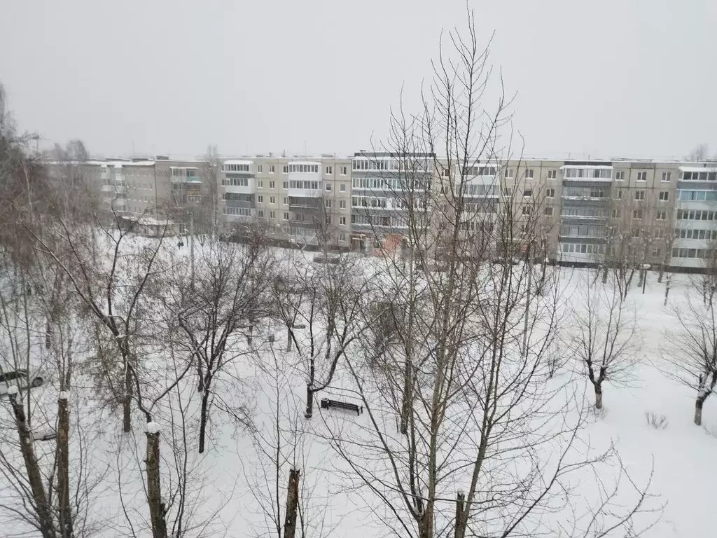 3-к кв. Пермский край, Добрянка Советская ул., 91 (59.2 м) - Фото 1