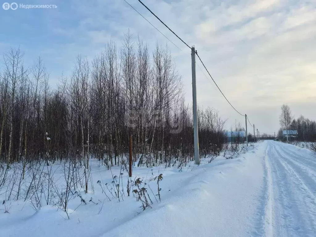 Участок в Ярославский муниципальный округ, дачное некоммерческое ... - Фото 1