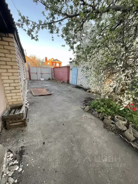 Дом в Белгородская область, Алексеевка ул. Пушкина (62 м) - Фото 1