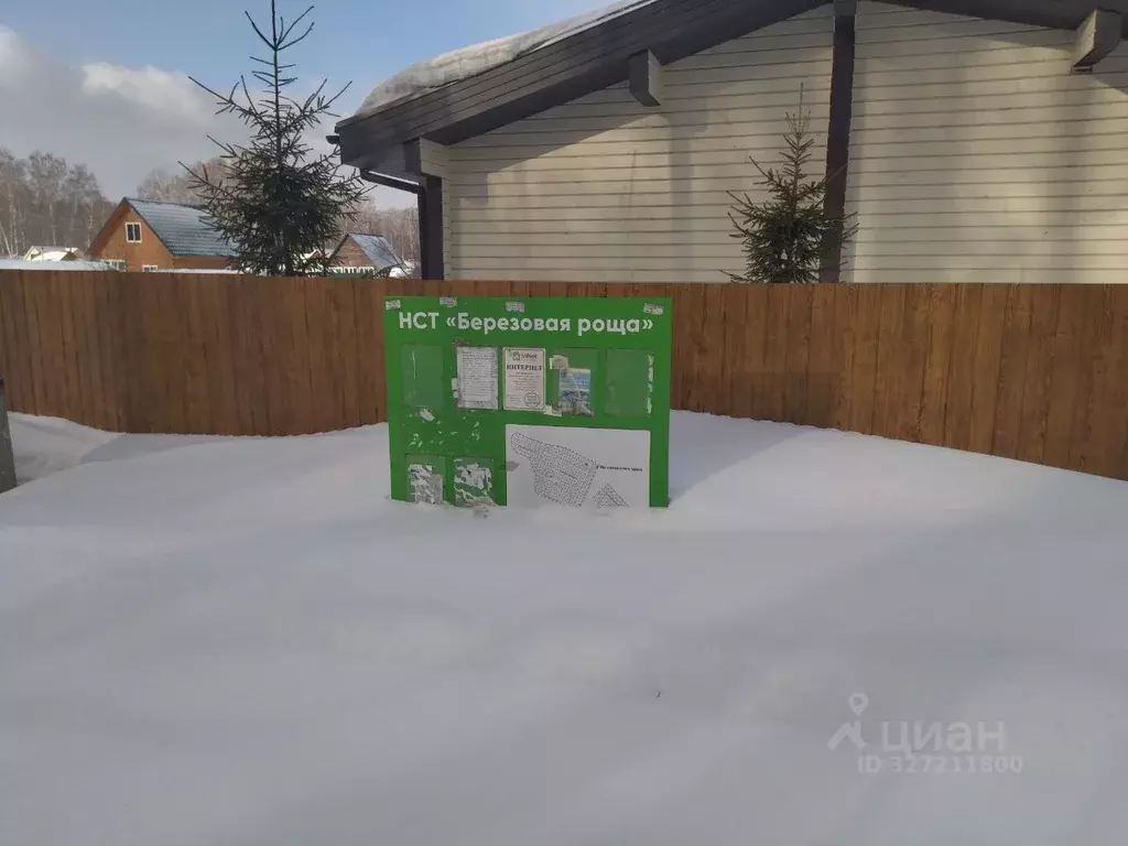 Участок в Новосибирская область, Новосибирский район, Барышевский ... - Фото 1