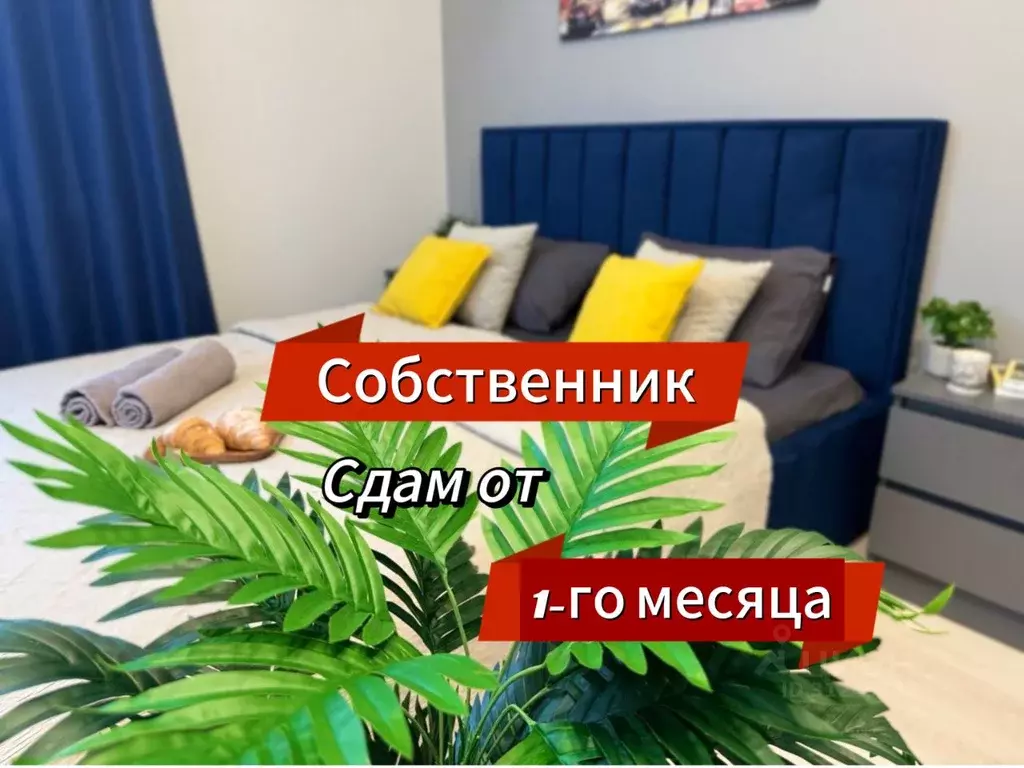 Студия Ростовская область, Ростов-на-Дону ул. 15-я Линия, 8 (25.0 м) - Фото 1