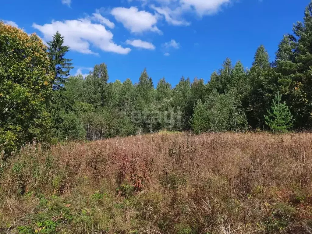 Участок в Карелия, Прионежский район, Гарнизонное с/пос, д. Порожек ... - Фото 0