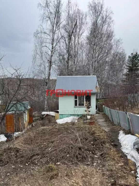 Дом в Новосибирская область, Новосибирск Металлург садовое ... - Фото 1