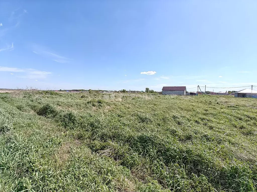 Участок в Новосибирская область, Коченево рп ул. Трудовая, 14 (11.0 ... - Фото 1