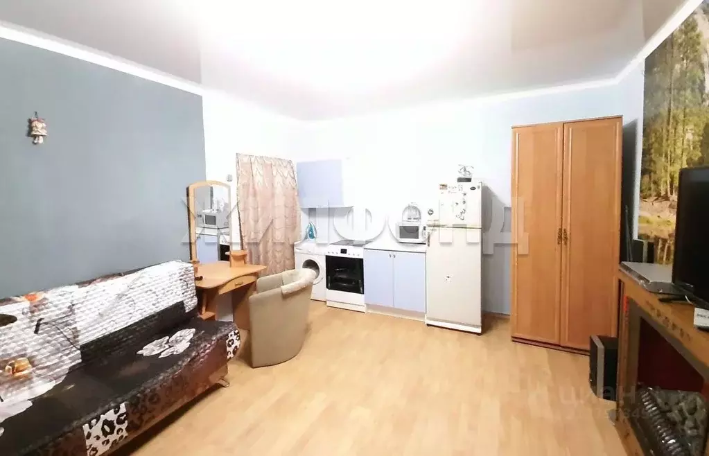 1-к кв. Новосибирская область, Новосибирск Национальная ул., 11 (29.6 ... - Фото 1