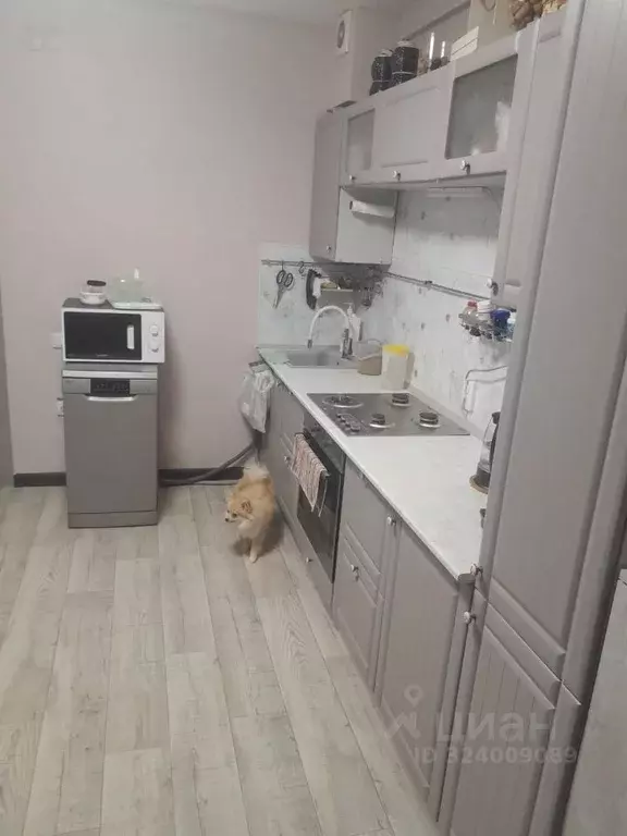 1-к кв. Ямало-Ненецкий АО, Новый Уренгой просп. Губкина, 26 (40.6 м) - Фото 2