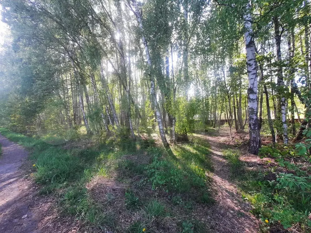 Участок 10 сот. (СНТ, ДНП) - Фото 1