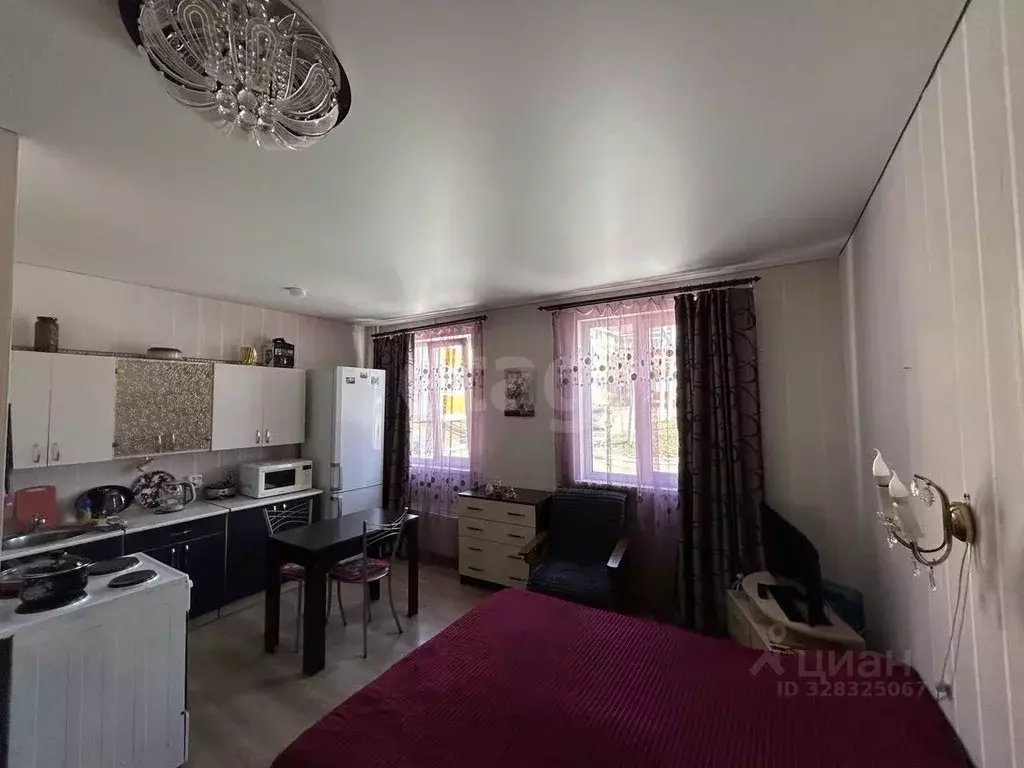 Студия Челябинская область, Сосновский муниципальный округ, Поселок ... - Фото 1