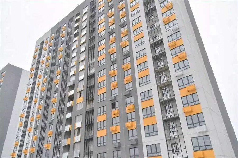 1-к кв. Воронежская область, Воронеж ул. Полковника Богомолова, 1 ... - Фото 0
