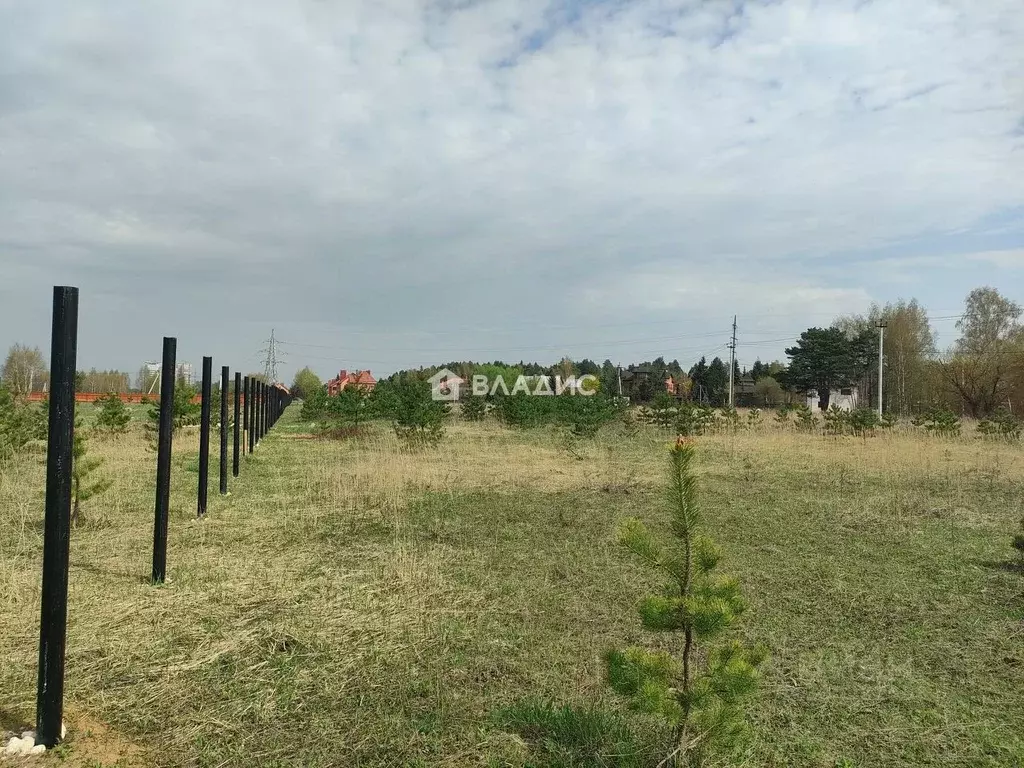 Участок в Московская область, Ногинск Богородский городской округ,  ... - Фото 2