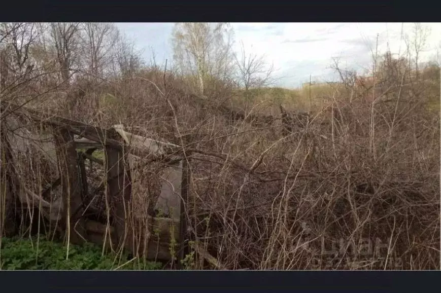 Участок в Белгородская область, Белгородский район, Комсомольское ... - Фото 1