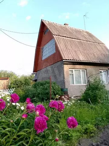 Дача 50 м на участке 4,5 сот. - Фото 0