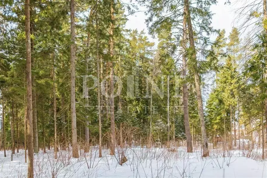 Участок в Московская область, Одинцовский городской округ, пос. ... - Фото 2