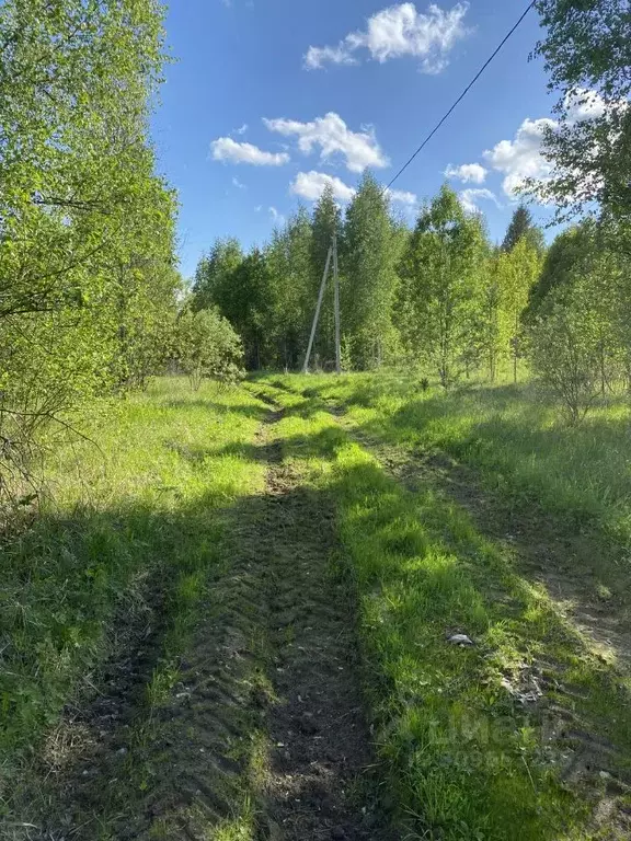 Участок в Новгородская область, Маловишерский район, Бургинское с/пос, ... - Фото 0