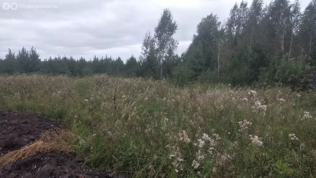 Участок в Свердловская область, посёлок городского типа Верхнее ... - Фото 1