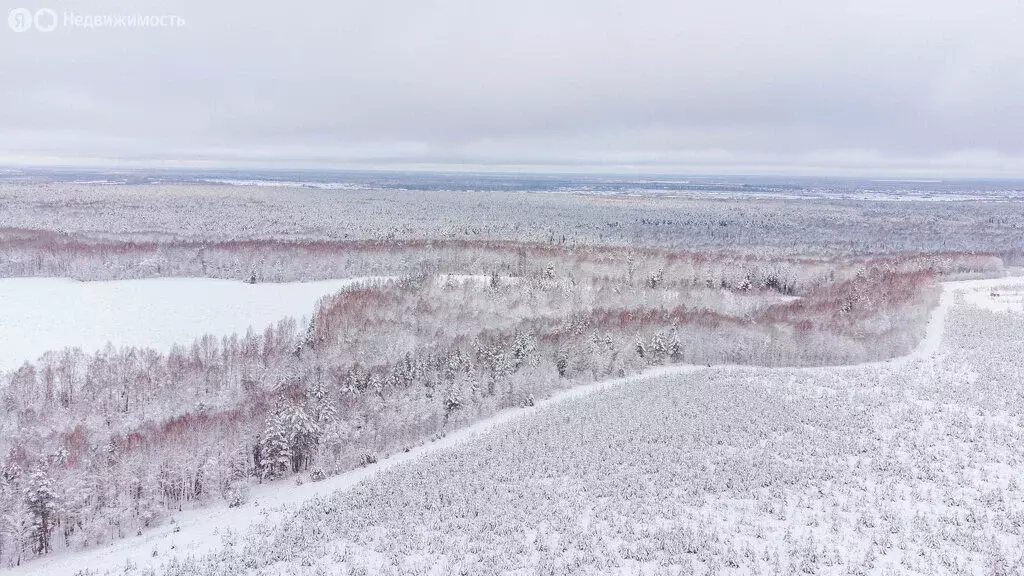 Участок в село Каменка, дачное некоммерческое товарищество Подушкино ... - Фото 1